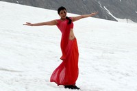 Kajal Saree Photos